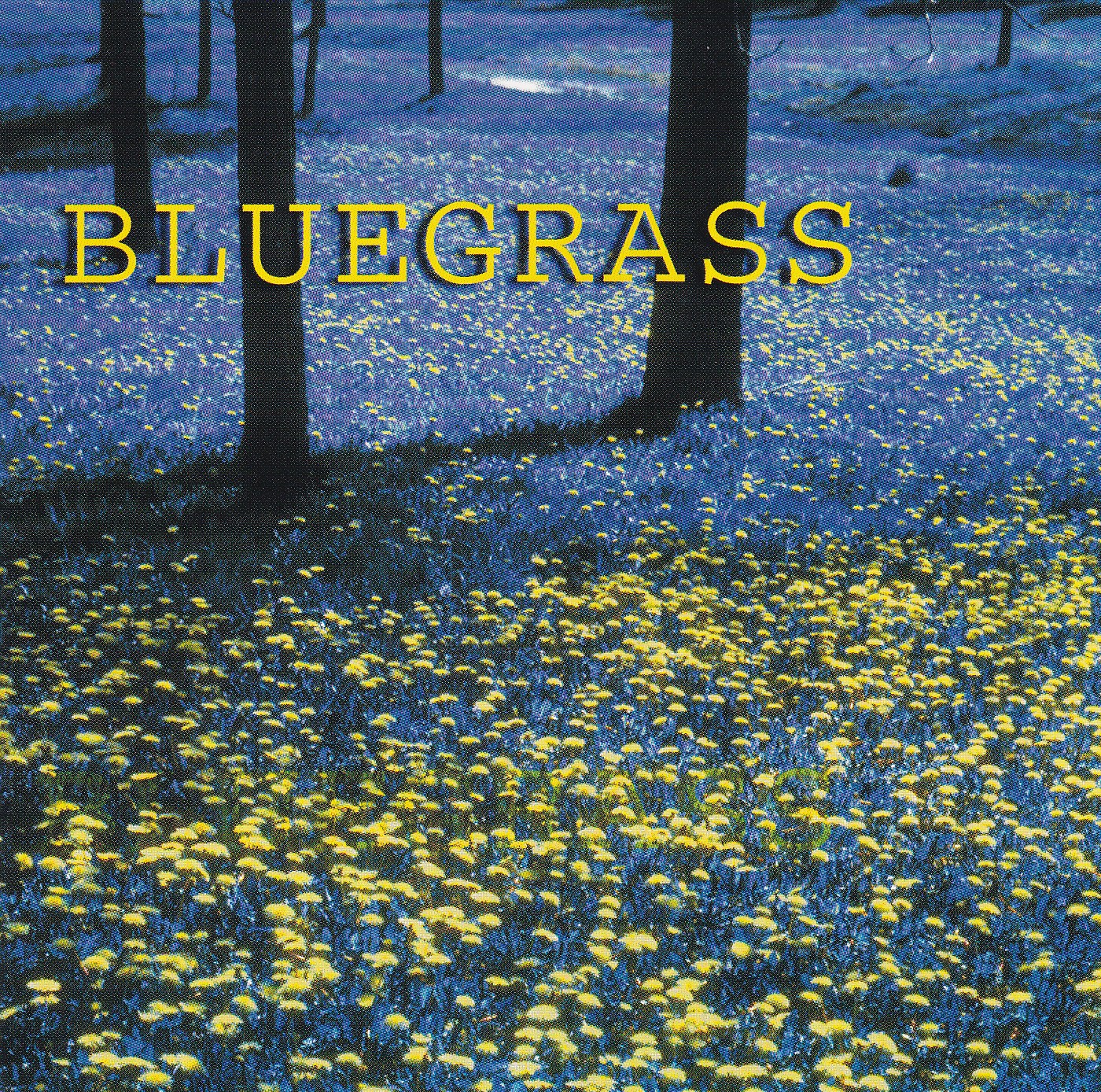 Bluegrass